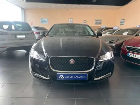 Used JAGUAR XF Diesel 2019 Ad 