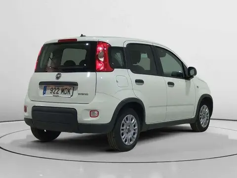 Used FIAT PANDA Hybrid 2022 Ad 