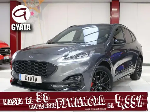 Used FORD KUGA Hybrid 2024 Ad 