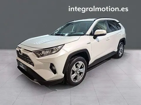 Used TOYOTA RAV4 Hybrid 2020 Ad 