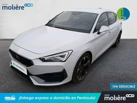 Used CUPRA LEON Petrol 2023 Ad 