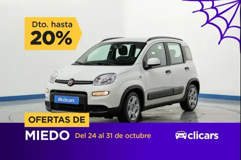 Annonce FIAT PANDA Essence 2023 d'occasion 