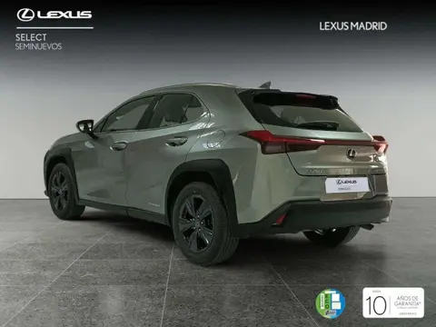 Used LEXUS UX Hybrid 2020 Ad 