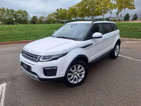 Annonce LAND ROVER RANGE ROVER EVOQUE Diesel 2019 d'occasion 