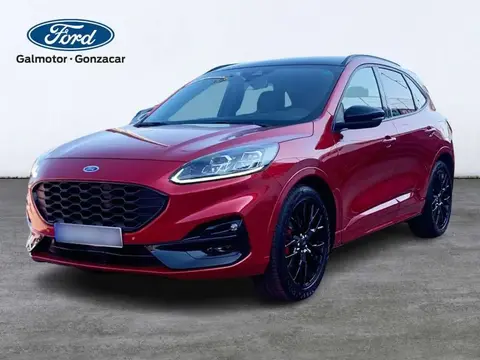 Annonce FORD KUGA Diesel 2023 d'occasion 