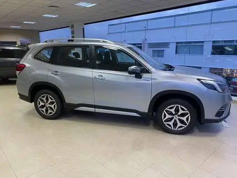 Used SUBARU FORESTER Hybrid 2024 Ad 