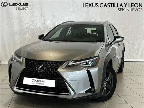 Used LEXUS UX Hybrid 2019 Ad 