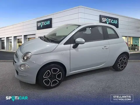 Used FIAT 500 Petrol 2023 Ad 