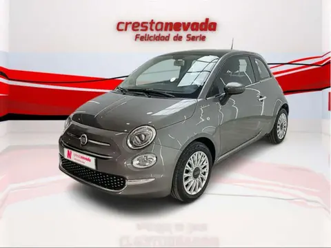 Annonce FIAT 500 Hybride 2021 d'occasion 