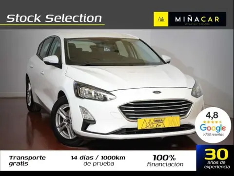 Used FORD FOCUS Petrol 2019 Ad 