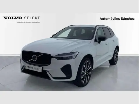 Annonce VOLVO XC60 Essence 2024 d'occasion 