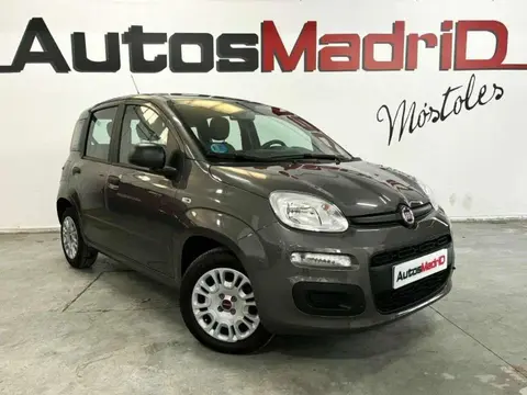 Annonce FIAT PANDA Hybride 2022 d'occasion 