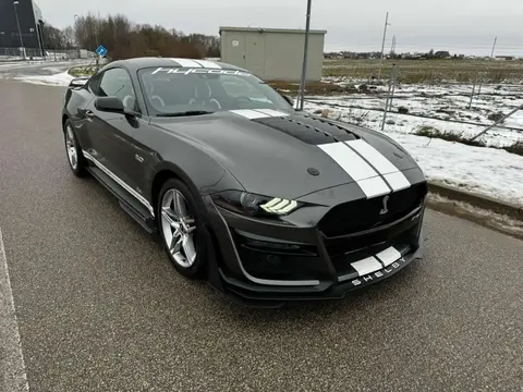 Annonce FORD MUSTANG Essence 2021 d'occasion 