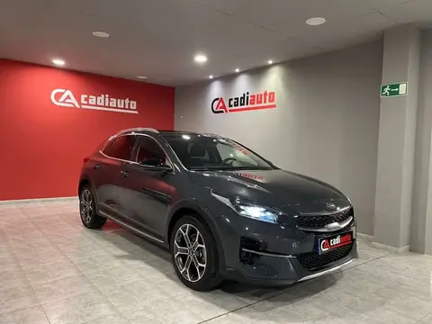 Used KIA XCEED Hybrid 2021 Ad 