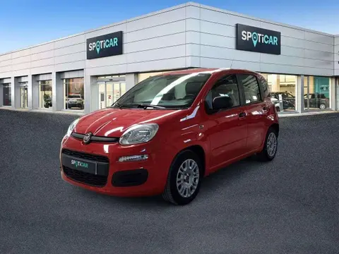 Used FIAT PANDA Hybrid 2022 Ad 