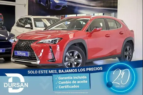 Used LEXUS UX Hybrid 2020 Ad 