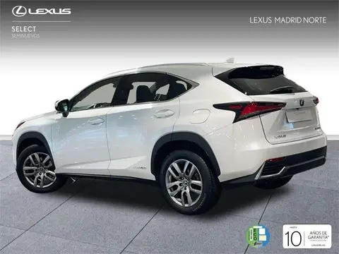 Annonce LEXUS NX Essence 2020 d'occasion 