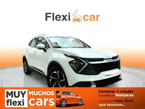 Used KIA SPORTAGE Petrol 2022 Ad 