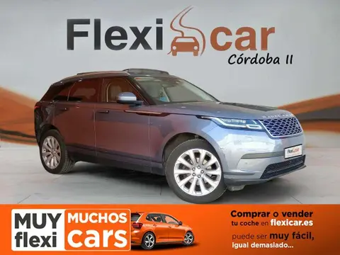 Used LAND ROVER RANGE ROVER VELAR Diesel 2018 Ad 