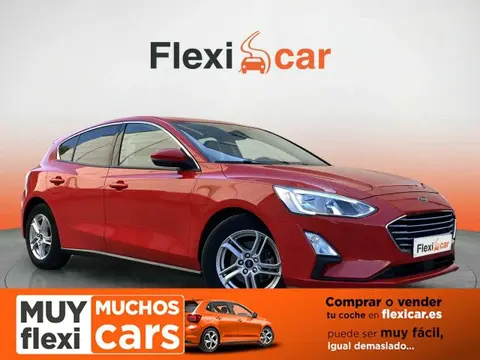 Used FORD FOCUS Petrol 2019 Ad 