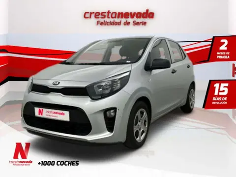 Annonce KIA PICANTO Essence 2019 d'occasion 