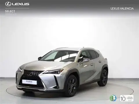 Used LEXUS UX Hybrid 2023 Ad 