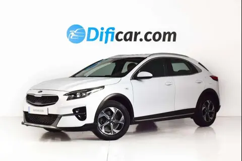 Used KIA XCEED Petrol 2019 Ad 