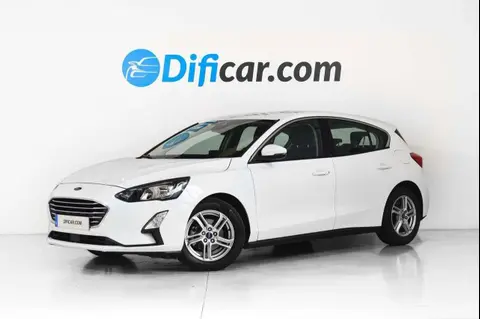 Annonce FORD FOCUS Essence 2019 d'occasion 