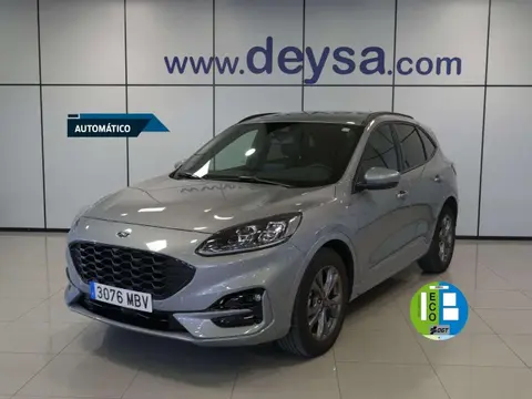 Annonce FORD KUGA Essence 2022 d'occasion 