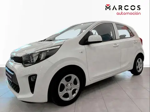 Used KIA PICANTO Petrol 2023 Ad 