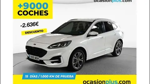 Used FORD KUGA Hybrid 2023 Ad 