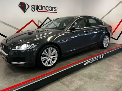 Used JAGUAR XF Diesel 2016 Ad 