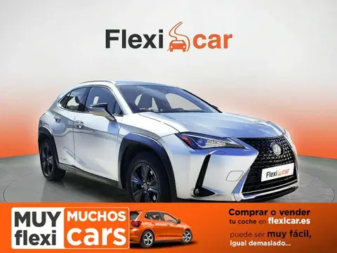 Used LEXUS UX Hybrid 2019 Ad 