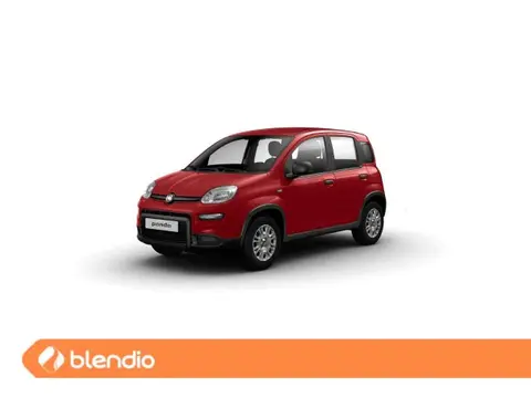 Used FIAT PANDA Hybrid 2024 Ad 