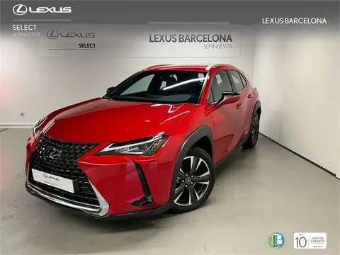 Used LEXUS UX Hybrid 2020 Ad 