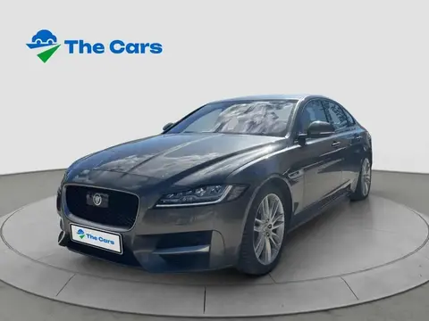 Annonce JAGUAR XF Diesel 2016 d'occasion 