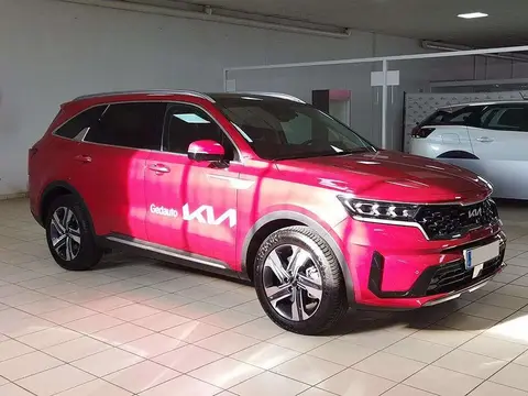 Annonce KIA SORENTO Diesel 2024 d'occasion 