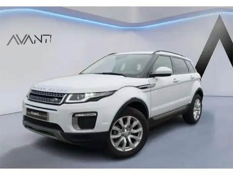 Used LAND ROVER RANGE ROVER EVOQUE Diesel 2016 Ad 