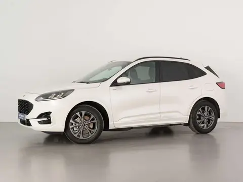 Used FORD KUGA Diesel 2020 Ad 