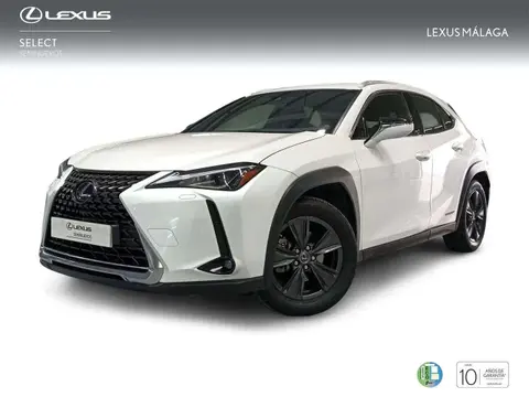 Used LEXUS UX Hybrid 2020 Ad 