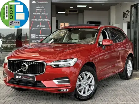 Annonce VOLVO XC60 Diesel 2020 d'occasion 