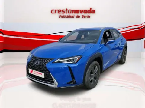 Used LEXUS UX Hybrid 2019 Ad 