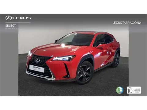 Annonce LEXUS UX Hybride 2024 d'occasion 