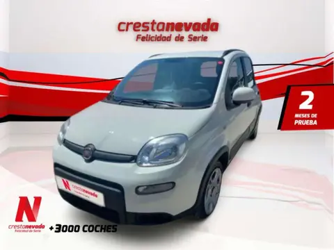 Annonce FIAT PANDA Hybride 2022 d'occasion 