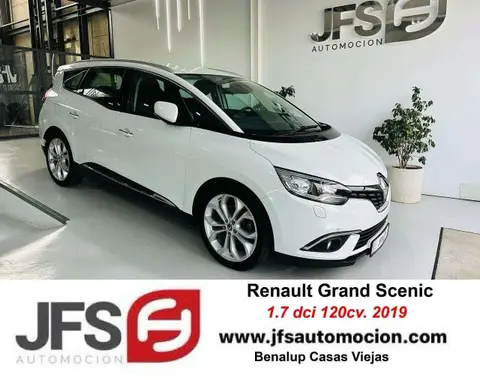 Used RENAULT GRAND SCENIC Diesel 2019 Ad 