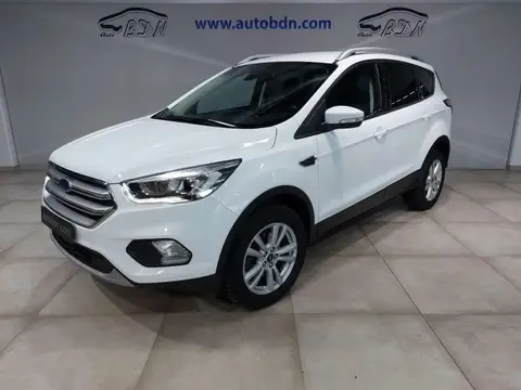 Used FORD KUGA Petrol 2019 Ad 