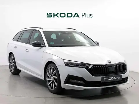 Used SKODA OCTAVIA Diesel 2023 Ad 