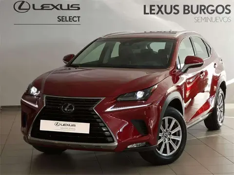 Annonce LEXUS NX Essence 2020 d'occasion 