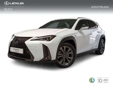 Used LEXUS UX Hybrid 2020 Ad 