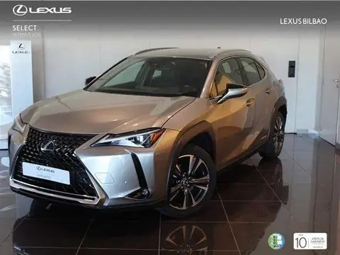 Used LEXUS UX Hybrid 2019 Ad 